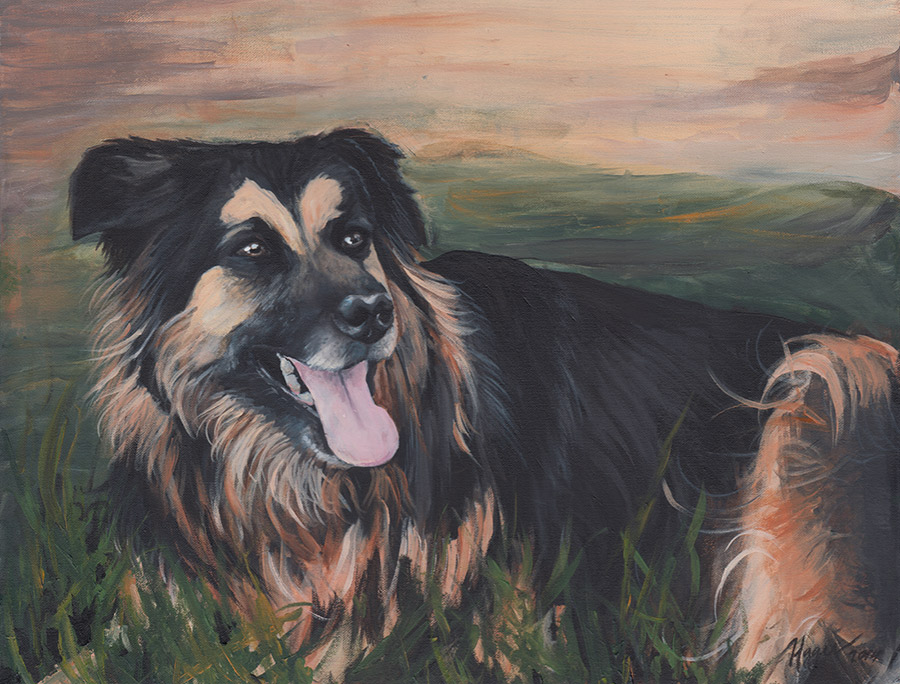 Belgian Shepherd