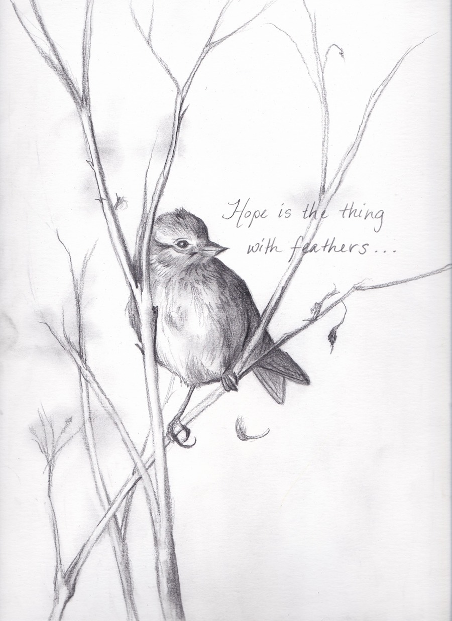 Hope Is the Thing with Feathers