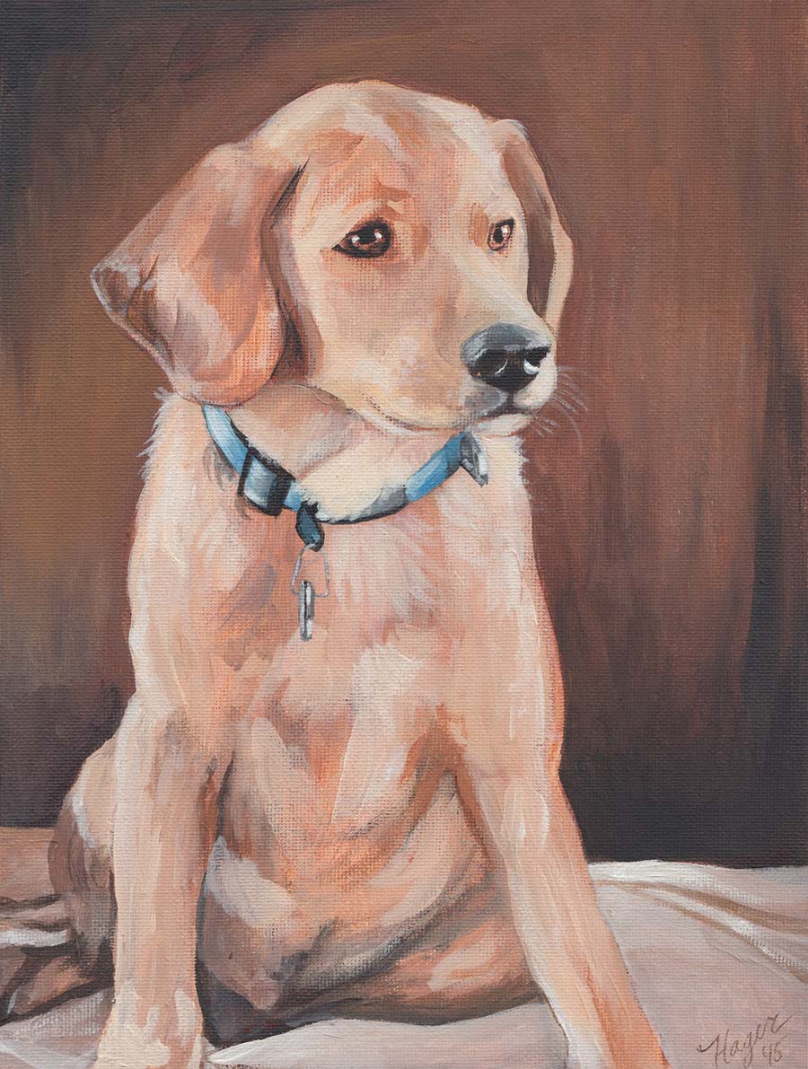 Lab Puppy