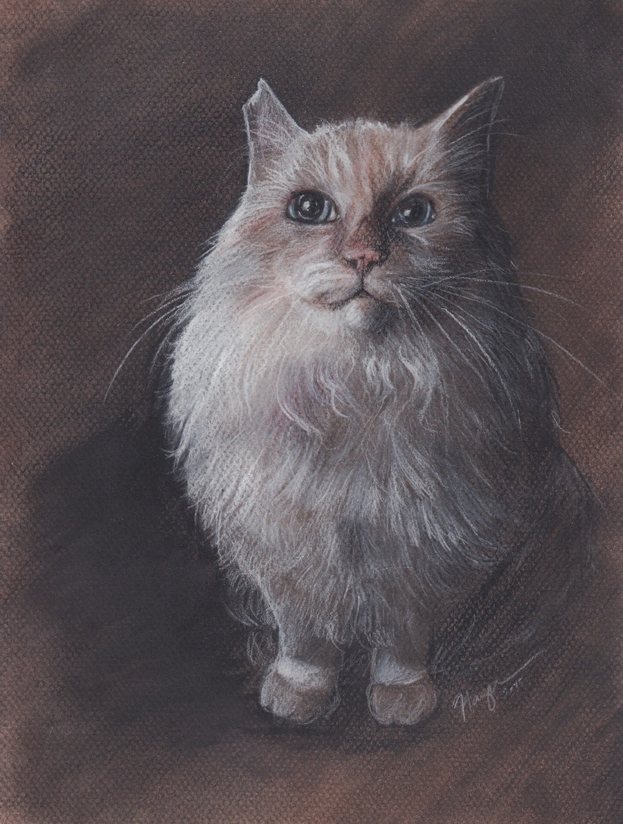 Mr. Fluff