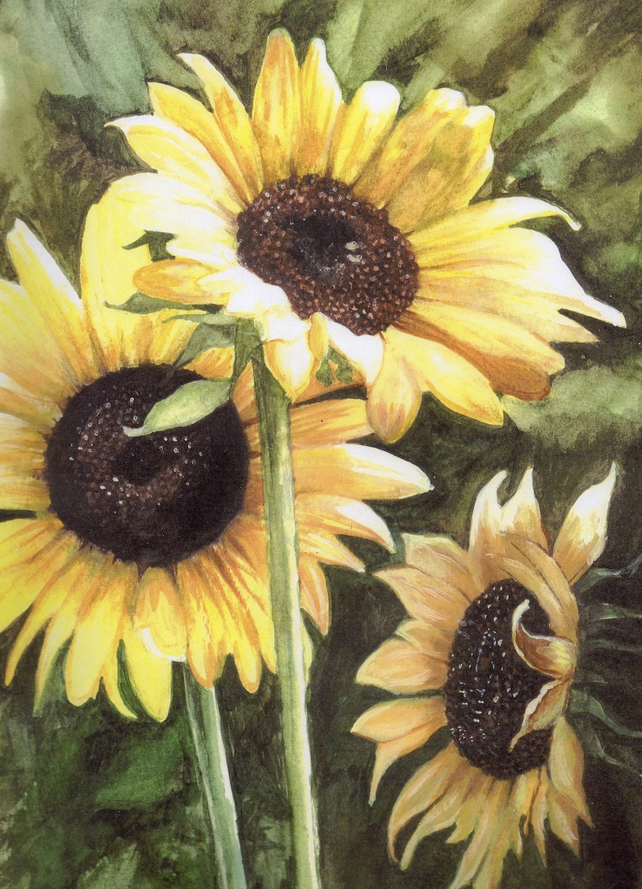 Sunflowers at Giverny